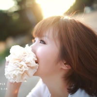 33(图1)